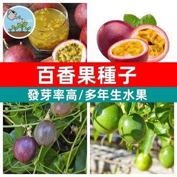 百香果種子 百香果 雞蛋果 西番蓮 紫皮百香果 紅皮百香果 水果之王 台灣品種 家庭園藝 陽台盆栽