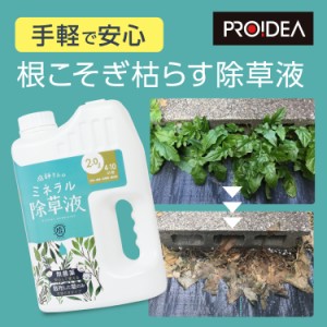 庭師さんのミネラル除草液 雑草 無害 無農薬 やさしい 枯らす 天然由来 天然成分 園芸 除草剤 除草液 液体 安心