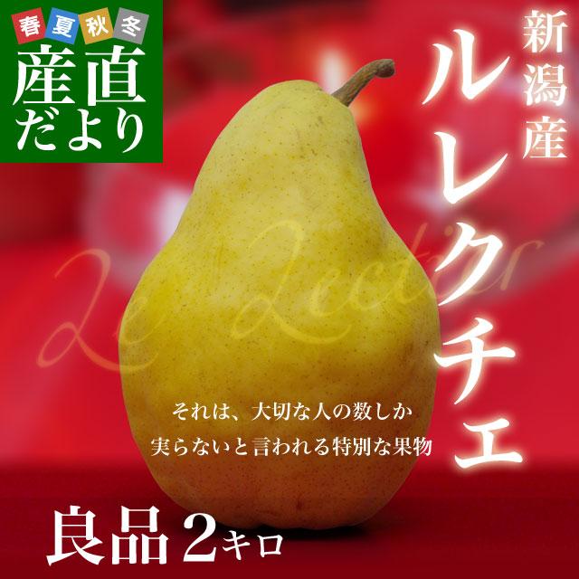 新潟県より産地直送 JAえちご中越 ル レクチェ ご家庭用（良品） 2キロ(4玉から8玉) 洋ナシ 洋梨 ル・レクチェ　冬ギフト　御歳暮 お歳暮 ギフト