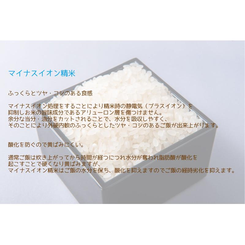 令和５年産 無洗米福井県産あきさかり10kg 単一原料米 白米 安い ブランド米 5kg×2 送料無料