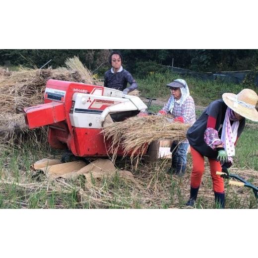 ふるさと納税 埼玉県 鳩山町 自然のかおり「かみひめ米」 玄米5kg