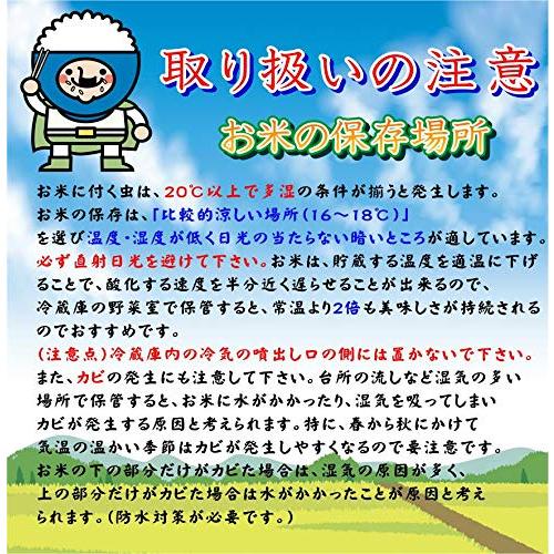 大賀商店 産地限定 令和5年産福島県須賀川市泉田産コシヒカリ10kg(5kgx2)