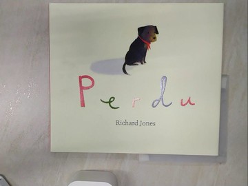 【書寶二手書T5／少年童書_R3Q】Perdu_Jones, Richard