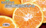 完熟有田みかん　10kg　※2023年11月下旬頃～2024年1月下旬頃に順次発送予定(お届け日指定不可)