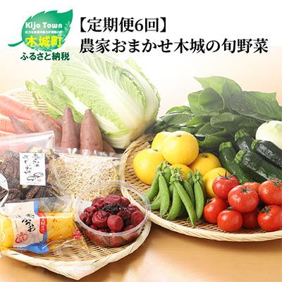 ふるさと納税 木城町 農家おまかせ木城の旬野菜 全6回