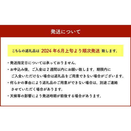 ふるさと納税 福岡県 大刀洗町 SDGs米糠堆肥で作ったベビーコーン50本