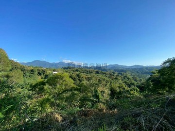 降價-東勢梨之鄉｜6米路有平台景觀視野農地Ａ｜台中市東勢區東勢段中嵙小段