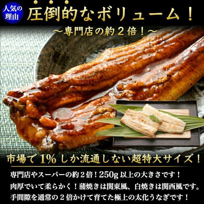 国産 特大うなぎ 土佐あかうし (サーロインステーキ)のセット 選べる鰻 ギフト