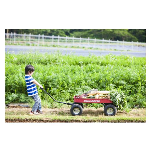 ふるさと納税 千葉県 香取市 THE FARMの 野菜 詰め合わせセット こだわり厳選した旬な野菜をお届け!