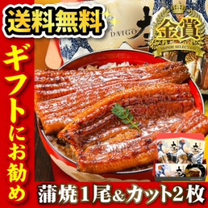 国産うなぎ 長蒲焼1尾＆カット蒲焼2枚セット 焼き肝串プレゼント お歳暮 ギフト 2～3人前 プレゼント うなぎ 蒲焼き お祝い 内祝い 贈答