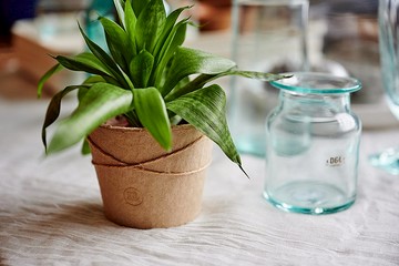 D&L 紙漿盆栽組  六入