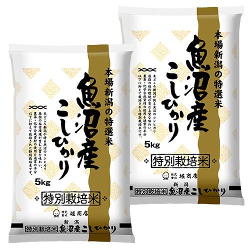 新米 堀商店 令和5年産 特別栽培 魚沼コシヒカリ 10kg｜お取り寄せ つきたて 新米