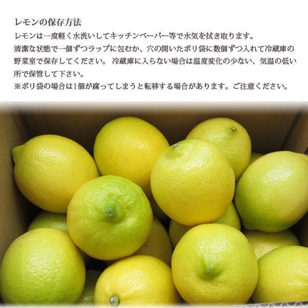 国産 レモン 整品 3kg 生レモン 瀬戸内産 防腐剤なし 皮まで食べられる 一部地域 送料無料