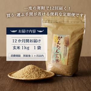 ふるさと納税 b12-027　令和5年産新米　かんたん玄米 無農薬 肥料不使用 1kg×12回 静岡県焼津市