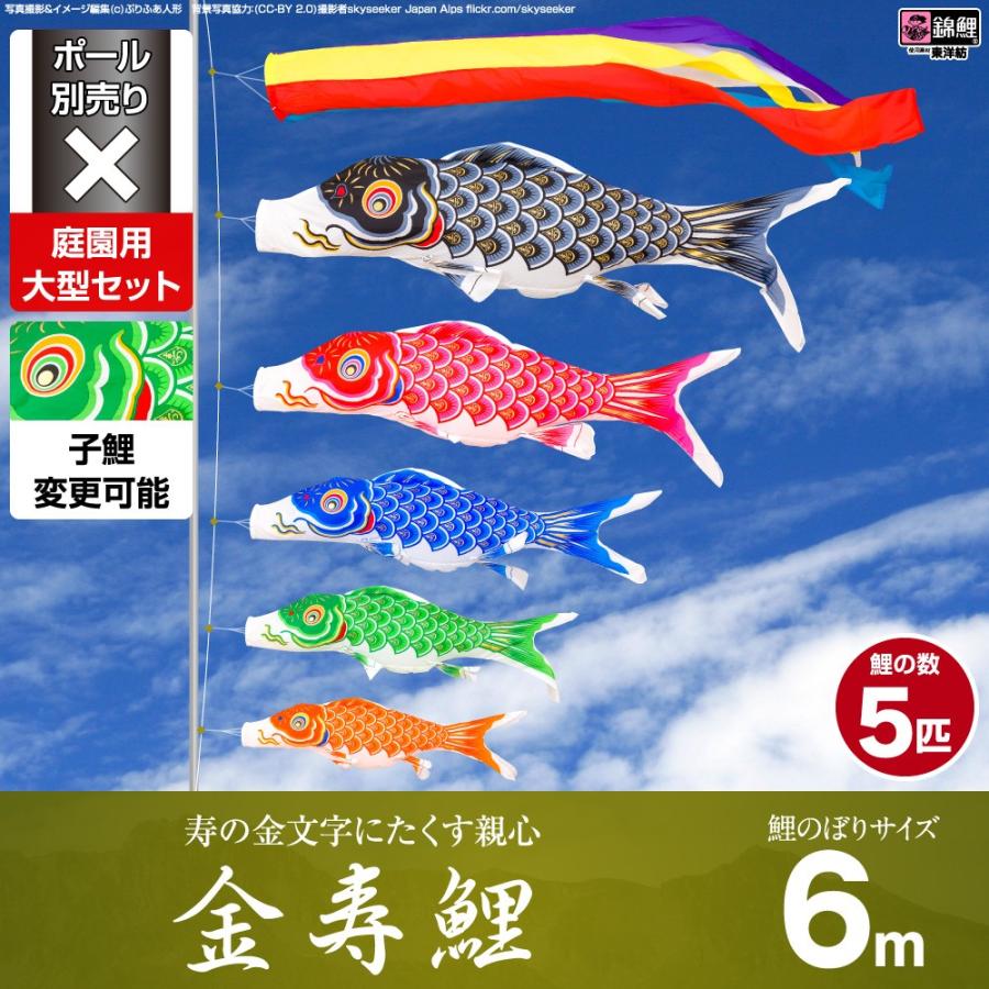 鯉のぼり 庭用 こいのぼり 錦鯉 寿の金文字にたくす親心 金寿鯉 6m 8