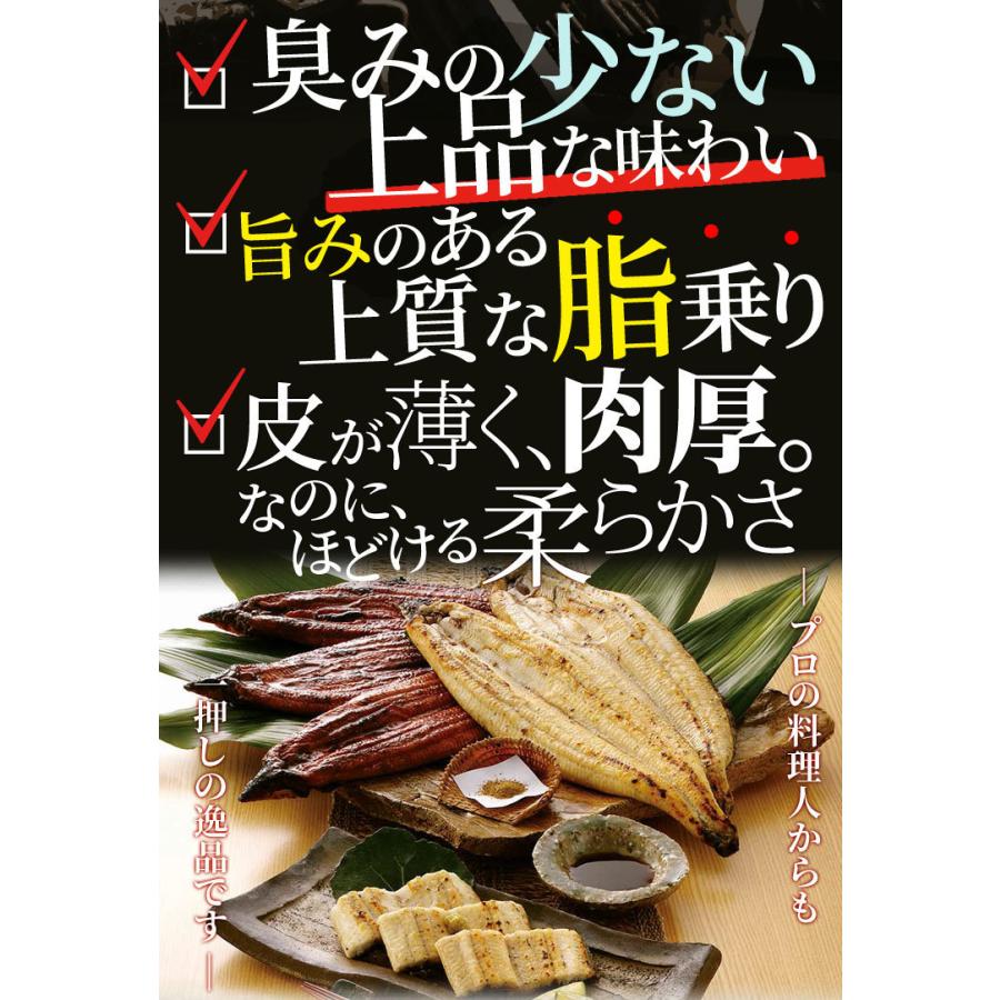 うなぎ 伊勢志摩産 白焼き 中サイズ ２尾 送料無料 国産 ウナギ 鰻 蒲焼き 丑の日 個包装 冷凍 化粧箱入 お歳暮 ギフト