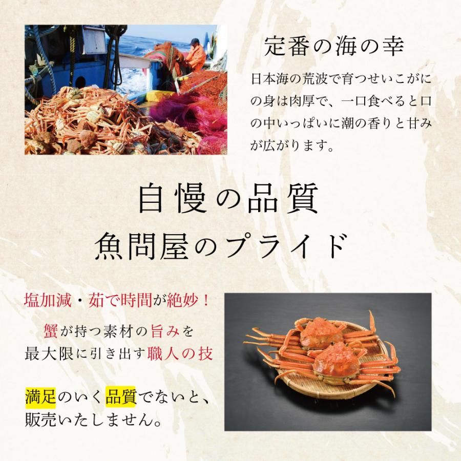 かに カニ 蟹 せいこ蟹 セイコガニ セコガニ 姿 送料無料 国産 取り寄せ お歳暮 ギフト プレゼント お祝い 贈答 大サイズ 180g前後 3杯