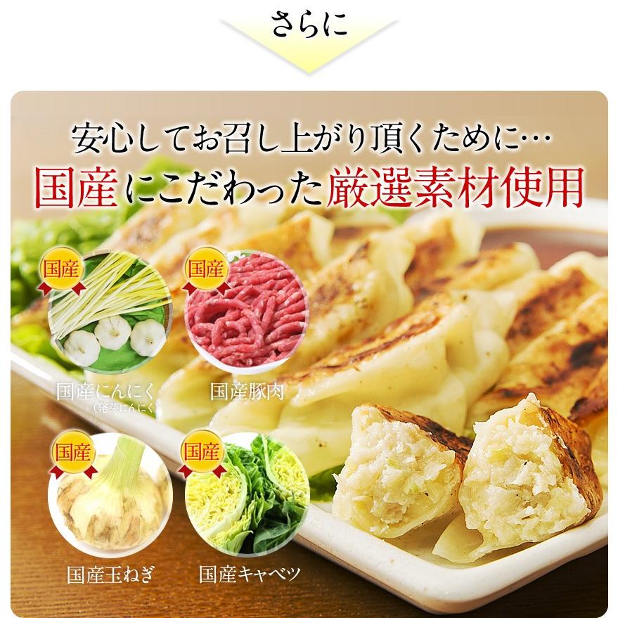 49％OFFクーポン有 できたて発送 ぎょうざ 餃子 お取り寄せ 中華 点心 タレ不要 すっぴん餃子300個 どっさり お取り寄せグルメ ギフト 大容量 業務用