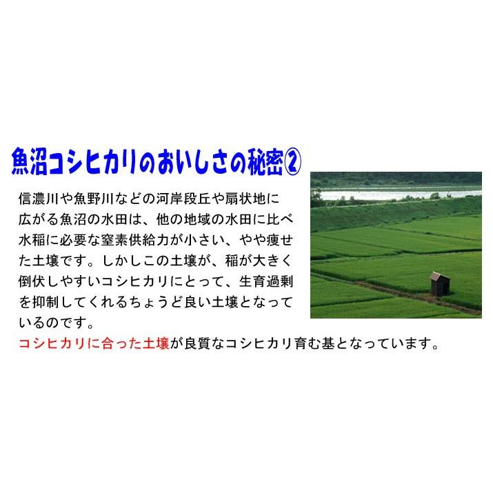 新米 令和5年産 特別栽培米 5kg 新潟県 魚沼産 コシヒカリ 玄米 白米 7分づき 5分づき 3分づき 出荷日精米  送料無料