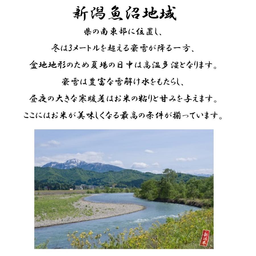 新米 米 お米 10kg コシヒカリ こしひかり 魚沼産 特別栽培米 5kg×2袋 本州送料無料 令和5年産