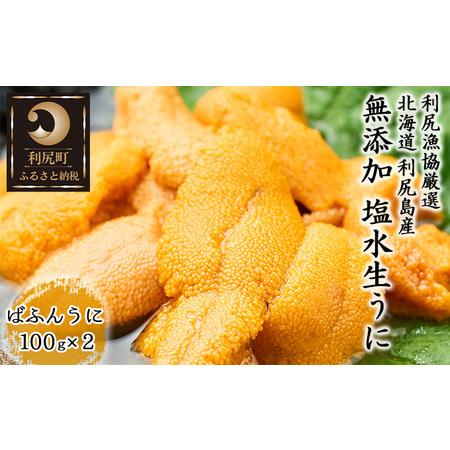 ふるさと納税 利尻島産 塩水 生うに ばふんうに100g×2■2024年6月より順次出荷■ 先行受付 ウニ 利尻  北海道利尻町