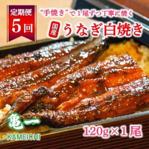 ふるさと納税 定期便 5ヶ月 国産 うなぎ 鰻 白焼 白焼き しら焼き120g 1本 土用 丑の日 老舗 亀一 特製 タレ 真空パック ひつまぶし ギフト 贈答.. 愛媛県愛南町