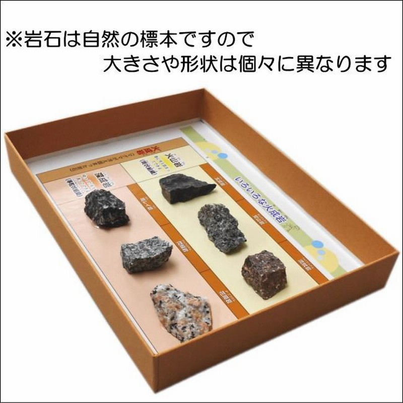 鉱物・岩石標本 63種 Amazon | 地学標本63種鉱物岩石化石標本石貝化石木の葉化石溶岩