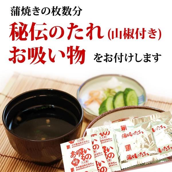 お歳暮 ギフト 2023 うなぎ 国産 プレゼント 土用の丑の日 蒲焼き 食べ物 送料無料 誕生日 ウナギ 鰻 2本 お年賀 御歳暮 御年賀 簡易箱 Gset03 1〜2人用 AA