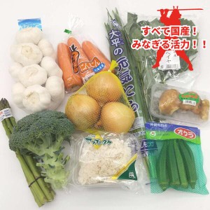 究極！アルティメット侍スタミナ野菜セット　国産にんにく4玉・他国産野菜合計10品目程度