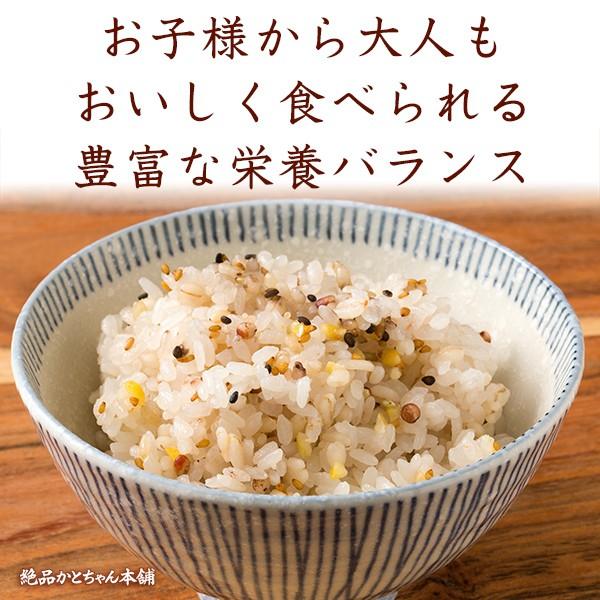 雑穀 雑穀米 国産 健康重視ヘルシーブレンド 450g 送料無料 ダイエット食品 置き換えダイエット 雑穀米本舗 ＼セール／