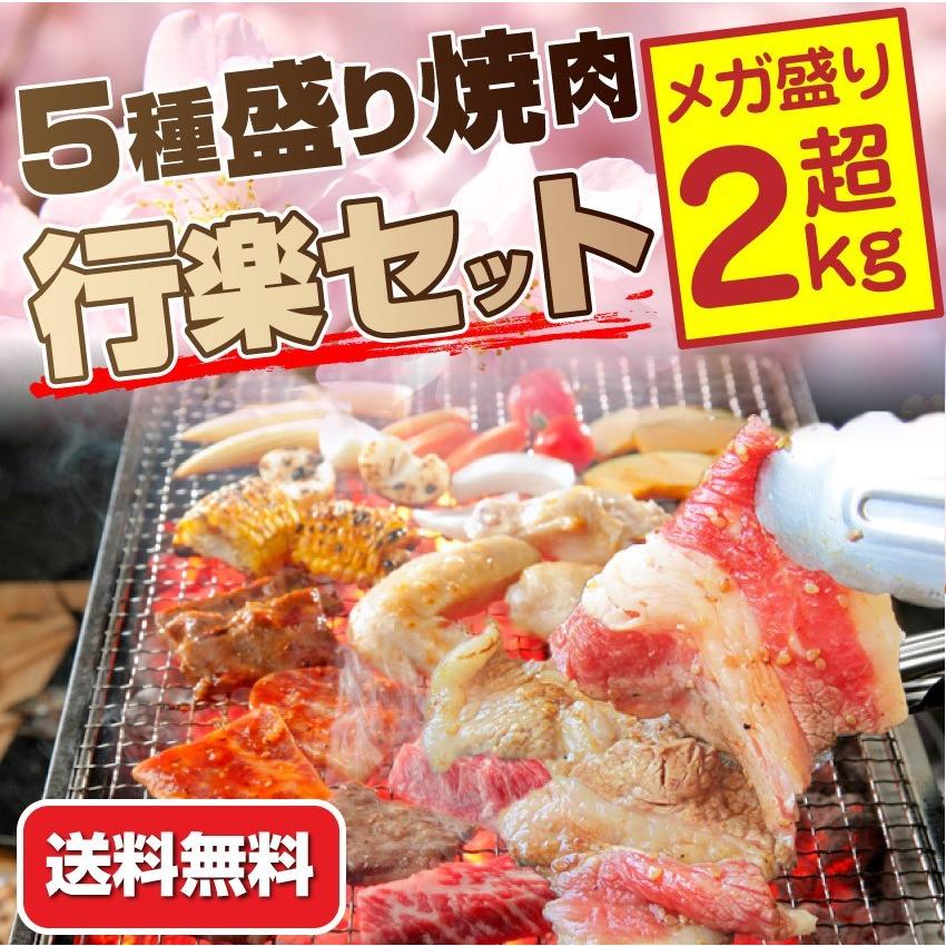 焼肉 セット 牛肉 肉 焼肉 メガ盛り行楽 BBQセット 福袋 2kg超 カルビ お歳暮 ギフト 食品 プレゼント お祝い キャンプ キャンプ飯