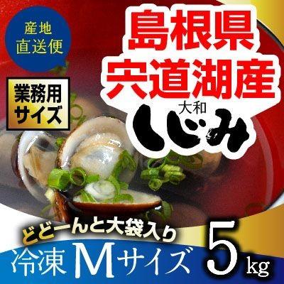 島根県・宍道湖産冷凍しじみ　Mサイズ 5kg（1kg×5袋・5キロ）送料無料 砂抜き済 シジミ 蜆 お取り寄せ しじみ屋かわむら