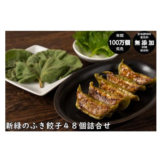 ふるさと納税 秋田県 秋田市 年間100万個完売！餃子の餃天