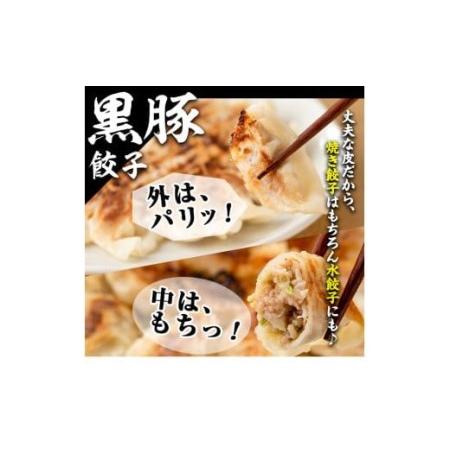 ふるさと納税 No.861t-A ＜定期便・全3回＞鹿児島黒豚使用の黒豚餃子(計96個・12個入り×8パック)×3回 鹿児島県日置市