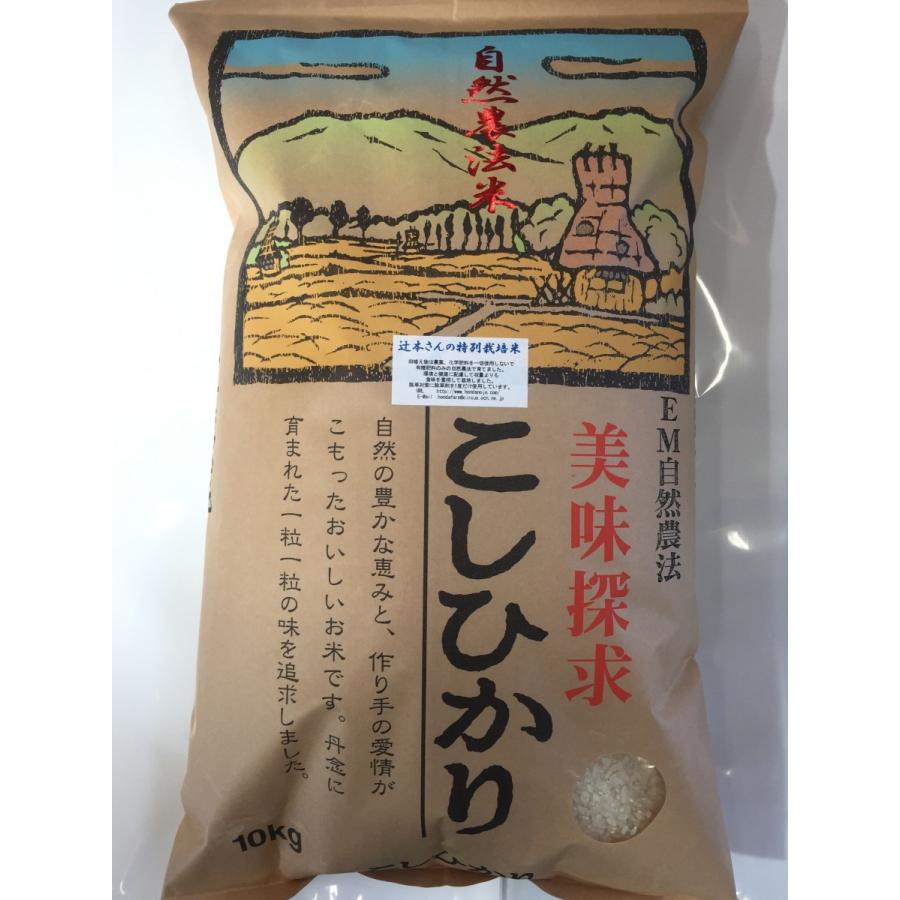 令和5年産 新米 石川県産 辻本さんの特別栽培米 コシヒカリ 食用 玄米 5kg