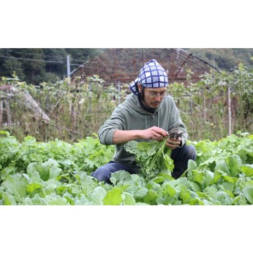 ふるさと納税 島根県 雲南市 旬の自然農野菜おまかせセットB