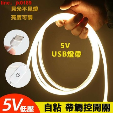 【店家優選】5v低壓超亮 usb霓虹矽膠燈柔性軟燈
