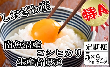 生産者限定 契約栽培 南魚沼しおざわ産コシヒカリ