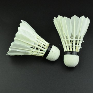 云中鷹羽毛球 6只裝天然羽毛耐打訓練泡沫球頭羽球