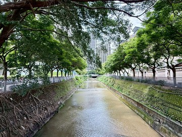 QQ【中港一方・高樓視野戶】面秋紅谷無限視野｜台中市西屯區臺灣大道三段