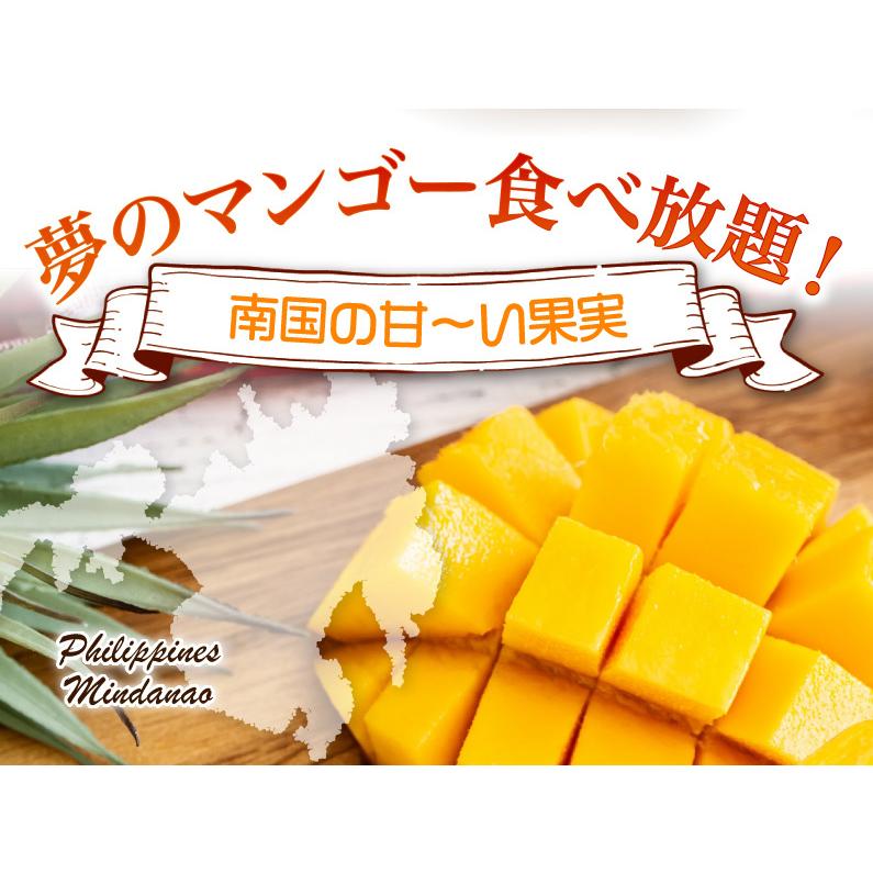 マンゴー 冷凍 甘熟マンゴー カットタイプ 5kg 追熟 極甘フローズン カラバオマンゴー 高級 濃厚な味わい クール便 送料無料