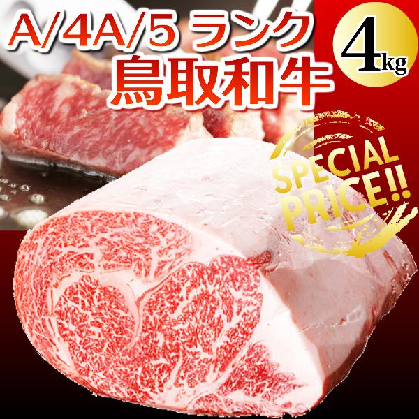 ギフト 鳥取和牛 （黒毛和牛肉） 鳥取県産 サーロイン ロースブロック肉 ４キロブロック 送料無料