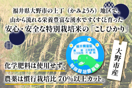 ベストファーマー ほたるの里 特別栽培こしひかり 6kg（2kg×3） × 3回 計18㎏ 化学肥料不使用 農薬70％以上カット [C-002002]