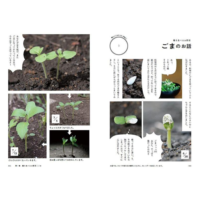 種から種へ 命つながるお野菜の一生