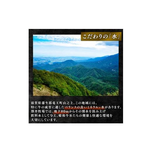 ふるさと納税 滋賀県 竜王町 近江牛 焼肉 霜降り 赤身 盛り合わせ 600g 冷凍 黒毛和牛 和牛 牛肉 牛 ふるさと納税 ブランド 三大和牛 贈り物 ギフト 国産 滋賀…