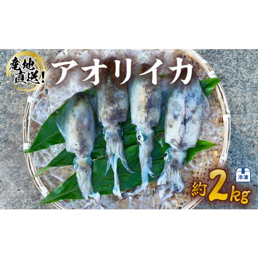 ふるさと納税 徳島県 海陽町 アオリイカ 約2kg 産地直送 冷凍 下処理あり イカ あおりいか いか 烏賊 水揚げ時重量約2kg 下処理後約1.2kg