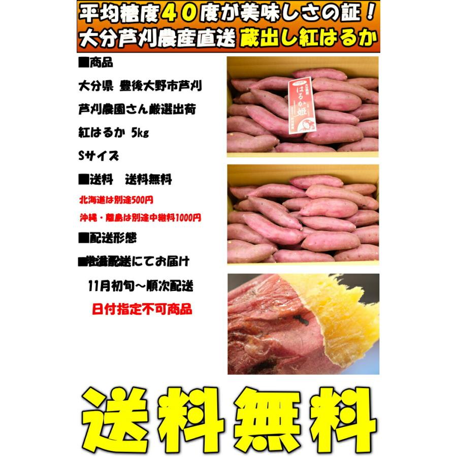 さつまいも 紅はるか 5kg S サイズ 完熟 甘い 熟成 濃厚 蔵出 さつま芋 贈答用 大分 芦刈農産