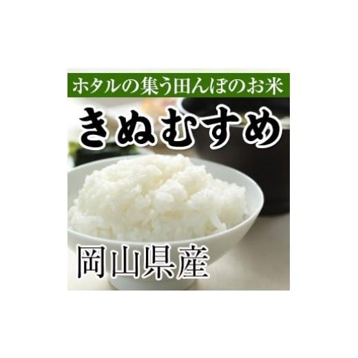 ふるさと納税 岡山県 真庭市 TA-32-6. 真庭市産きぬむすめ　無洗米５ｋｇ×6回（定期便）