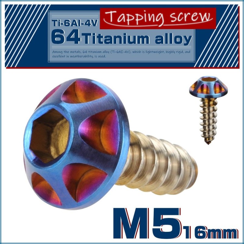 64チタン M5×16mm タッピングネジ カッティングヘッド 六角穴 スクリュー チタンネジ ビス 焼きチタン風 JA035 通販  LINEポイント最大0.5%GET | LINEショッピング