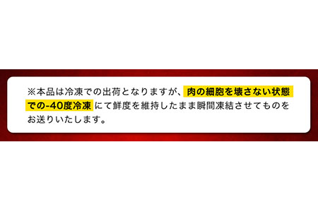 「熊野牛」特選ローススライス800g 4等級以上 株式会社松源 《90日以内に順次出荷(土日祝除く)》 和歌山県 紀の川市